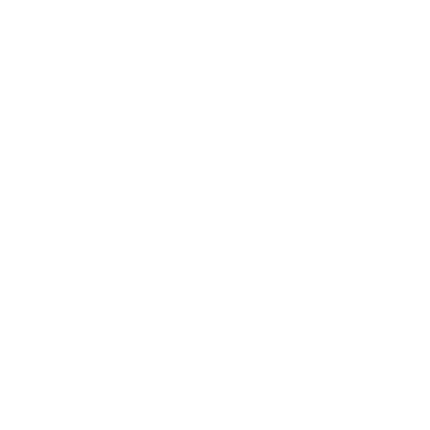 Alarm force white logo