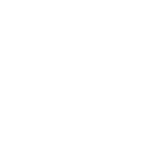 Ernst Young Logo