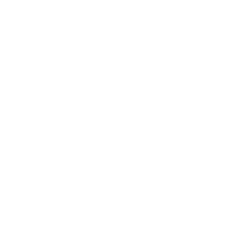 Toronto police white svg icon